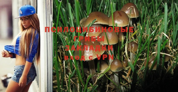 амф Пересвет
