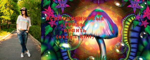 spice Переславль-Залесский