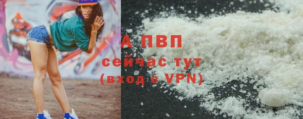 амф Пересвет