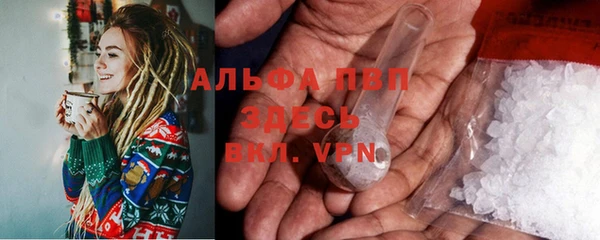 амф Пересвет