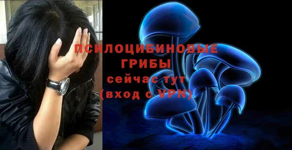 амф Пересвет