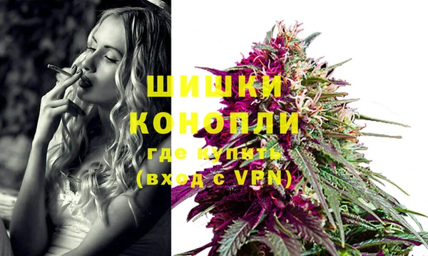 амф Пересвет
