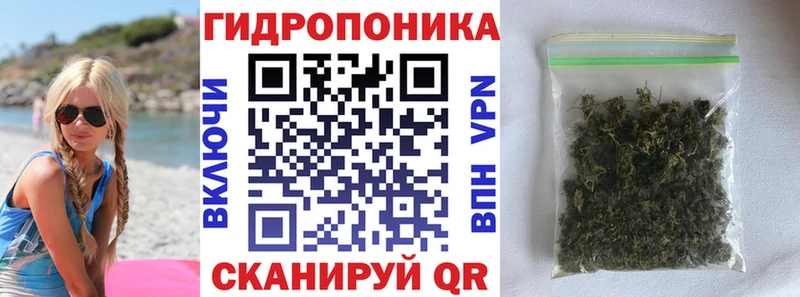 Конопля марихуана  наркота  Кирсанов 